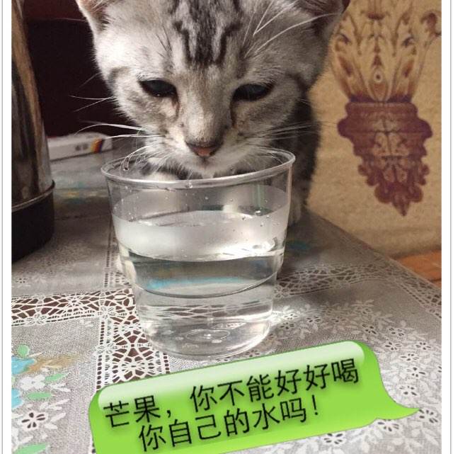 赞恩州立学院学信网认证办理
